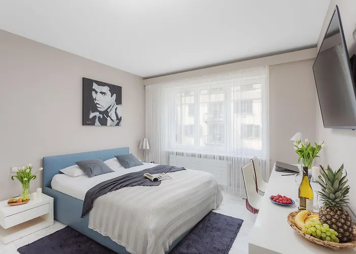 Visionapartments Rotachstrasse - Contactless Check-in Apartment *